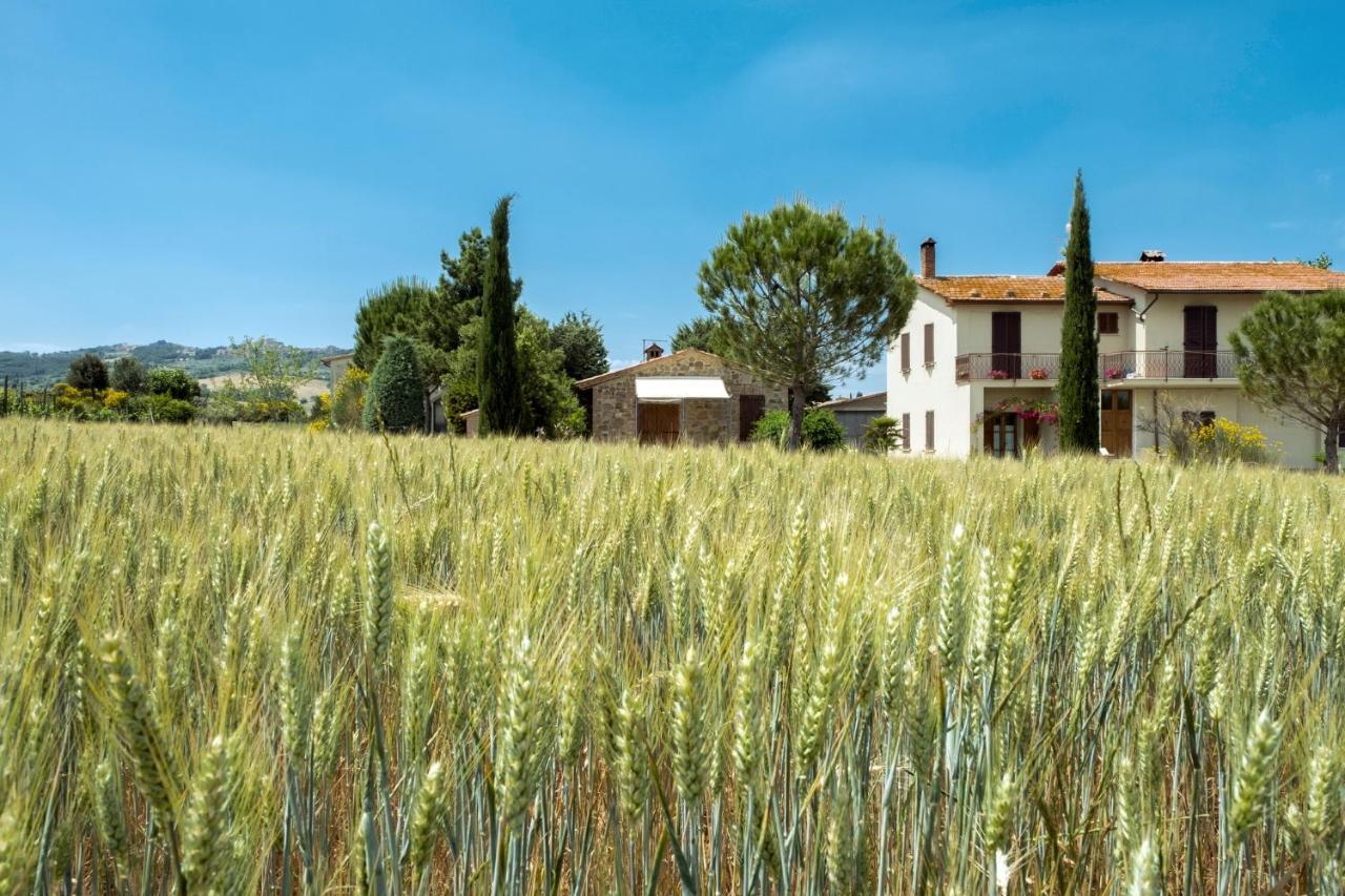Agriturismo San Marcello Castiglione d'Orcia Ngoại thất bức ảnh